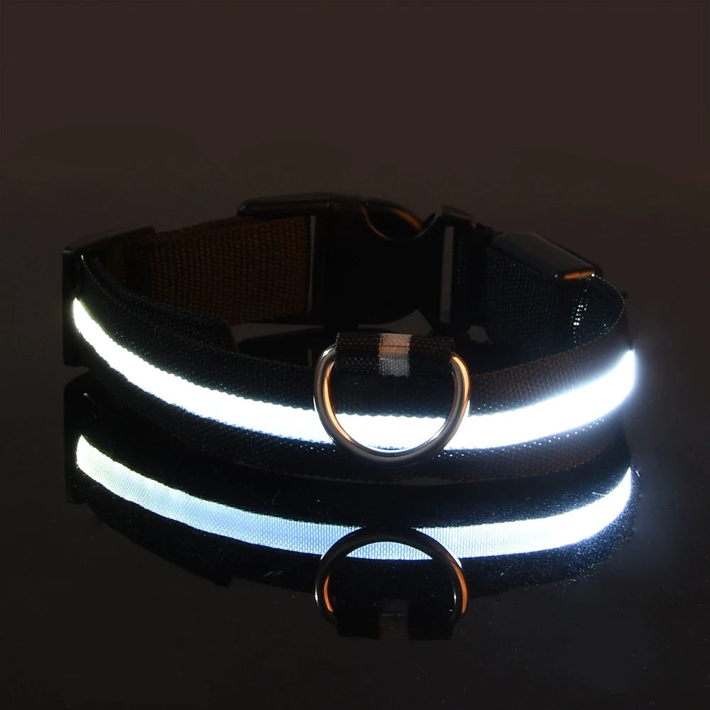 Collar LED para Perros - Seguridad Nocturna, Luminoso y Recargable, Tallas S-XL