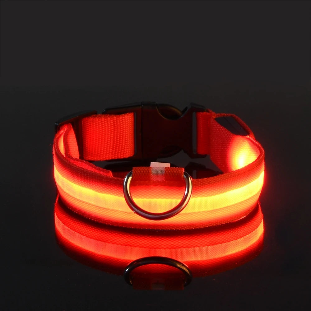 Collar LED para Perros - Seguridad Nocturna, Luminoso y Recargable, Tallas S-XL
