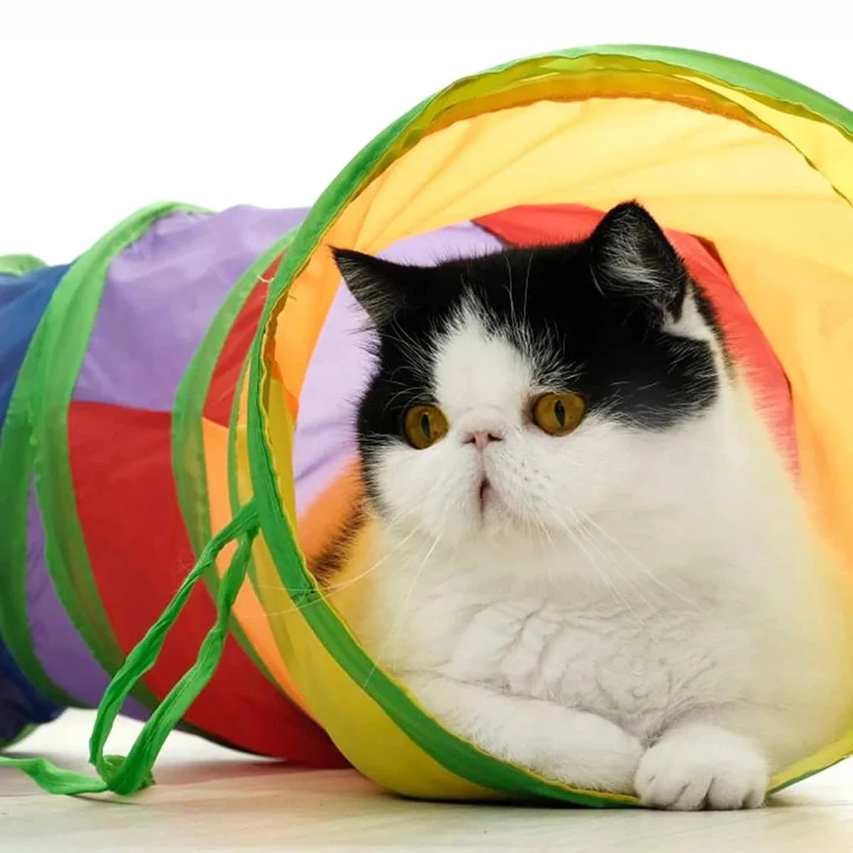 Túnel Plegable para Gatos - Juguete Interactivo Multicolor con Sonido Crujiente, 50cm