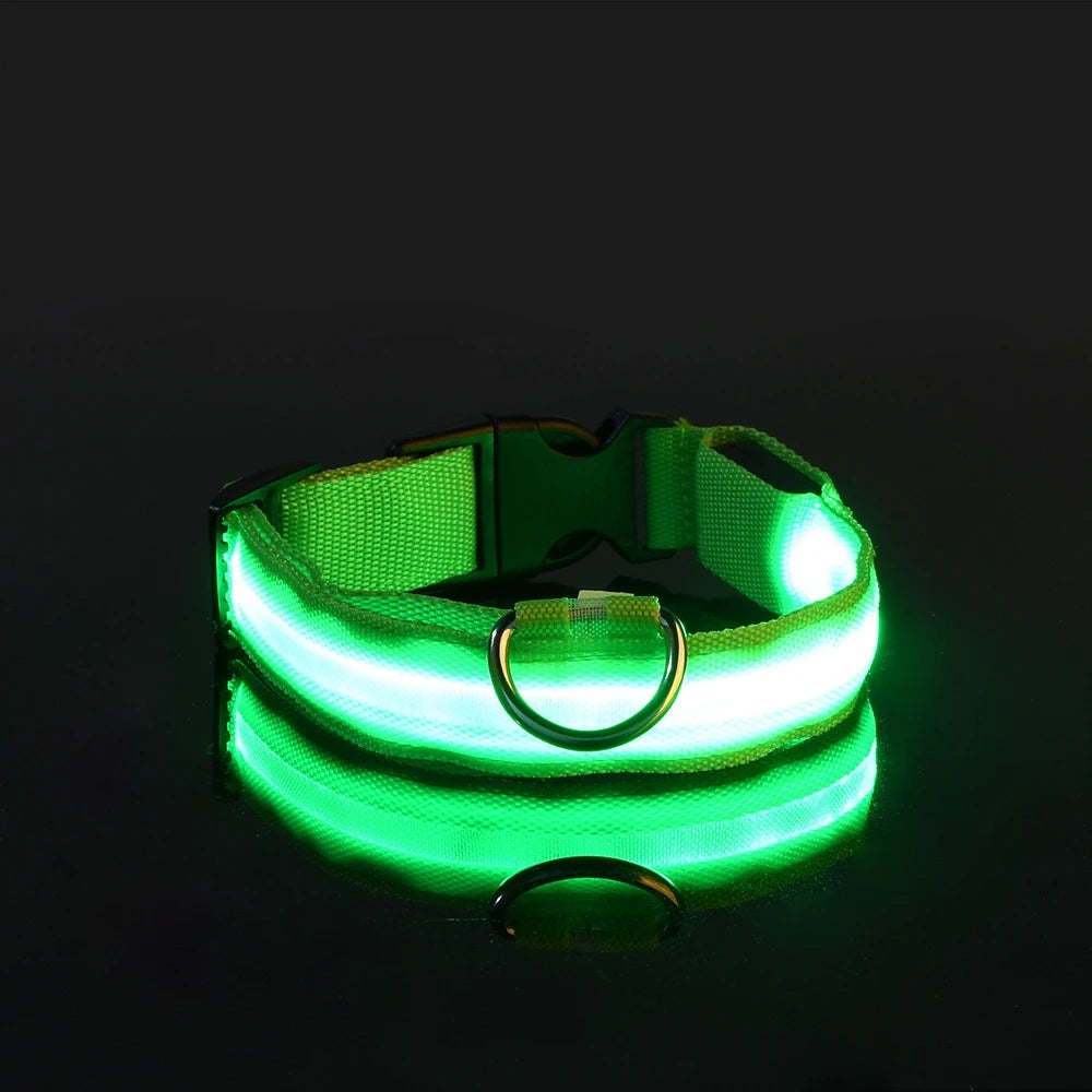 Collar LED para Perros - Seguridad Nocturna, Luminoso y Recargable, Tallas S-XL