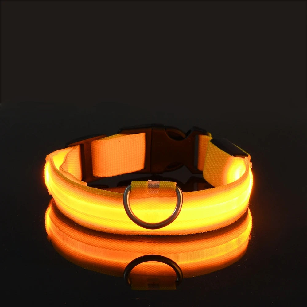 Collar LED para Perros - Seguridad Nocturna, Luminoso y Recargable, Tallas S-XL