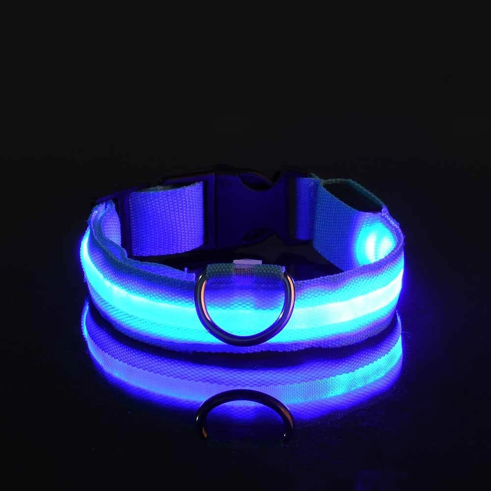 Collar LED para Perros - Seguridad Nocturna, Luminoso y Recargable, Tallas S-XL