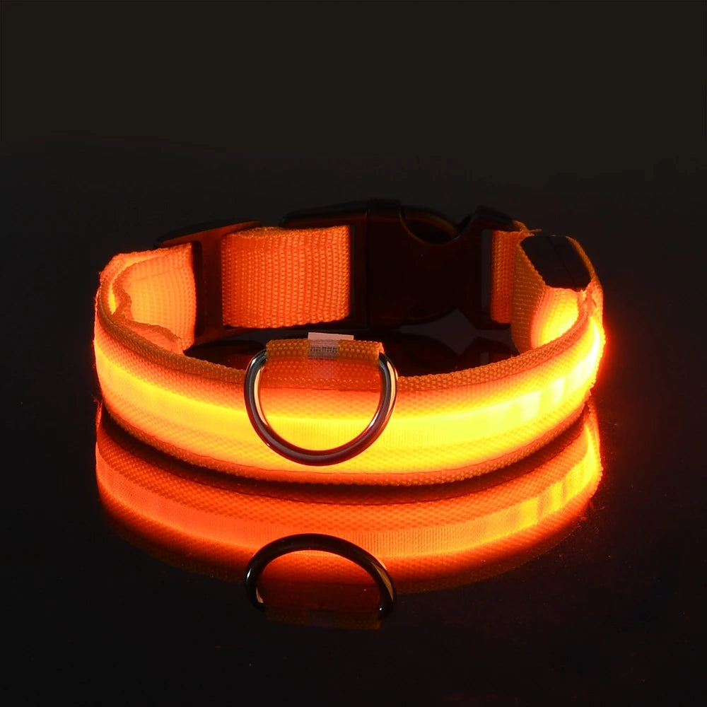 Collar LED para Perros - Seguridad Nocturna, Luminoso y Recargable, Tallas S-XL