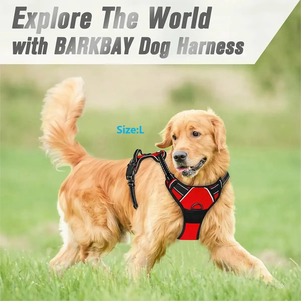 Arnés Antipull para Perros - Chaleco Ajustable con Asa de Control para Cachorros y Perros Medianos