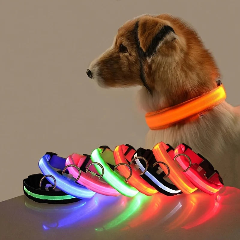 Collar LED para Perros - Seguridad Nocturna, Luminoso y Recargable, Tallas S-XL