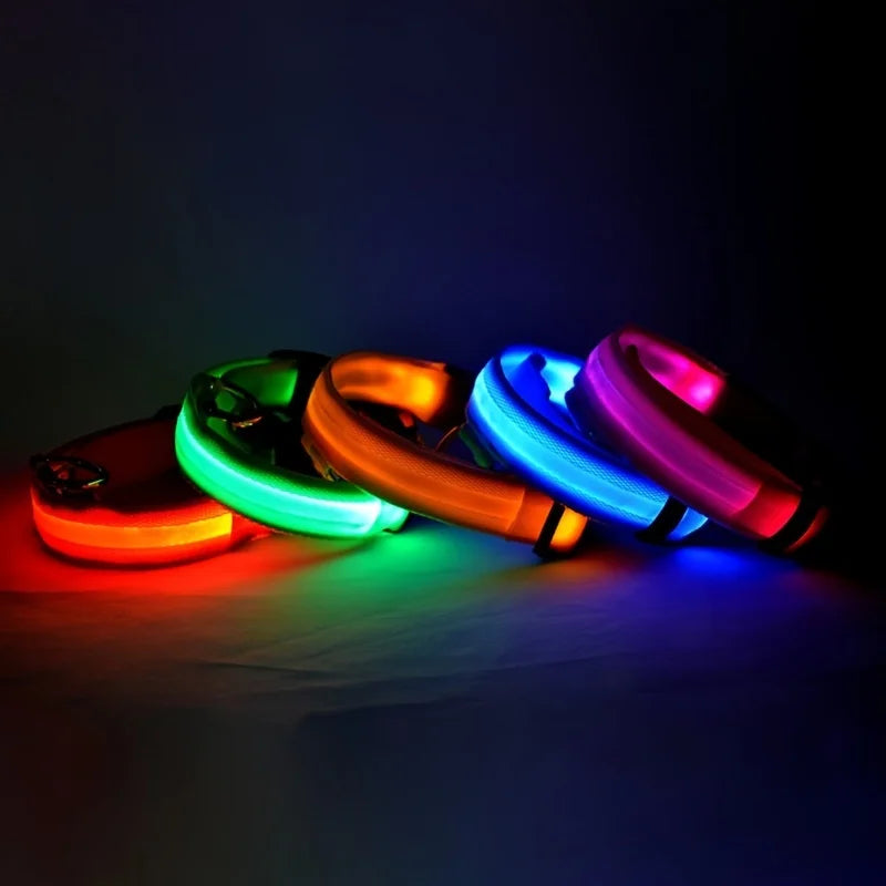 Collar LED para Perros - Seguridad Nocturna, Luminoso y Recargable, Tallas S-XL