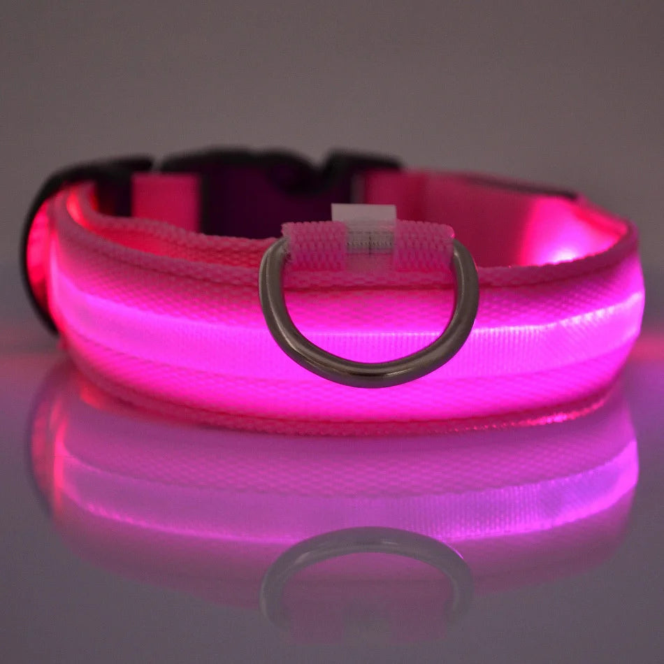 Collar LED para Perros - Seguridad Nocturna, Luminoso y Recargable, Tallas S-XL