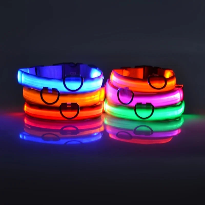 Collar LED para Perros - Seguridad Nocturna, Luminoso y Recargable, Tallas S-XL