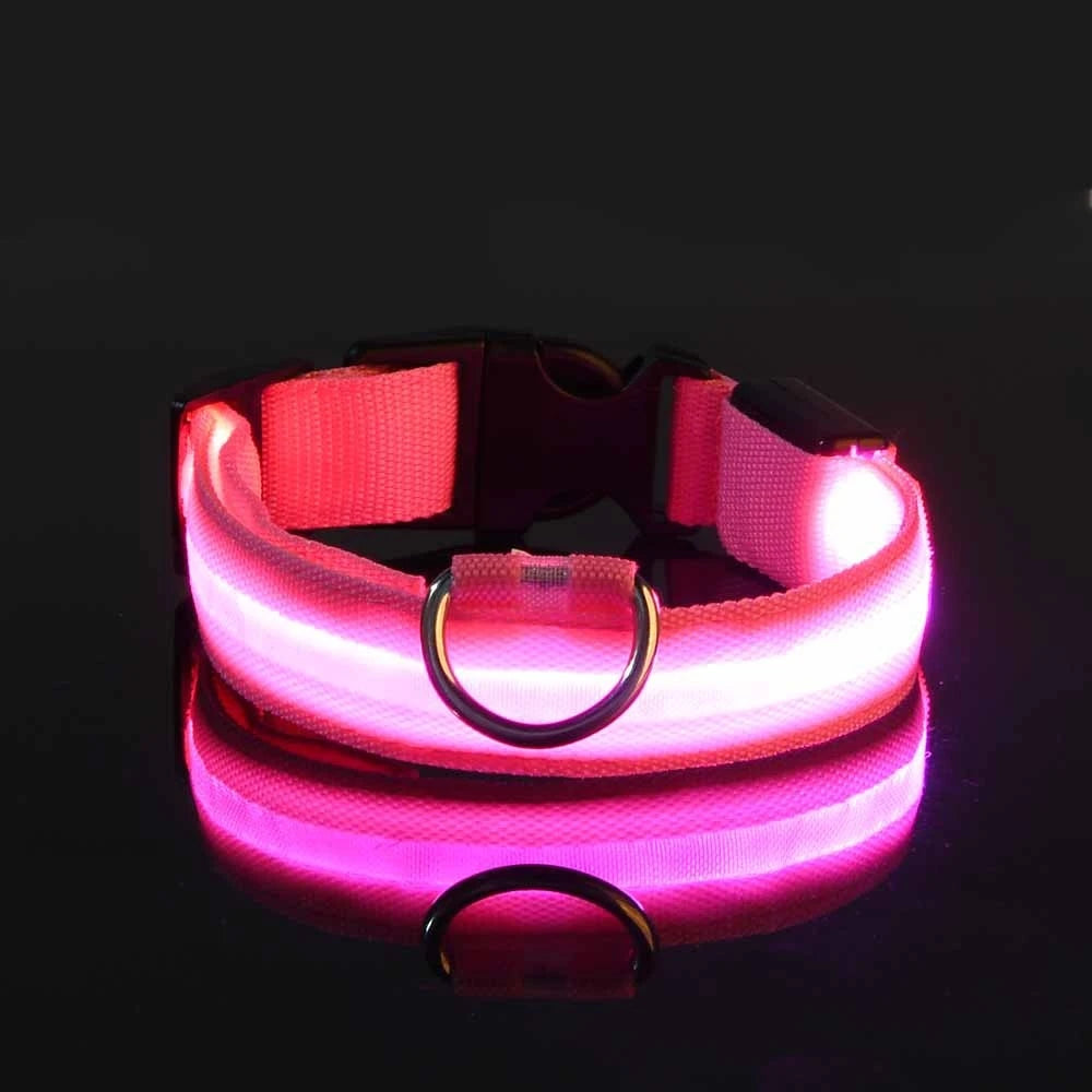 Collar LED para Perros - Seguridad Nocturna, Luminoso y Recargable, Tallas S-XL