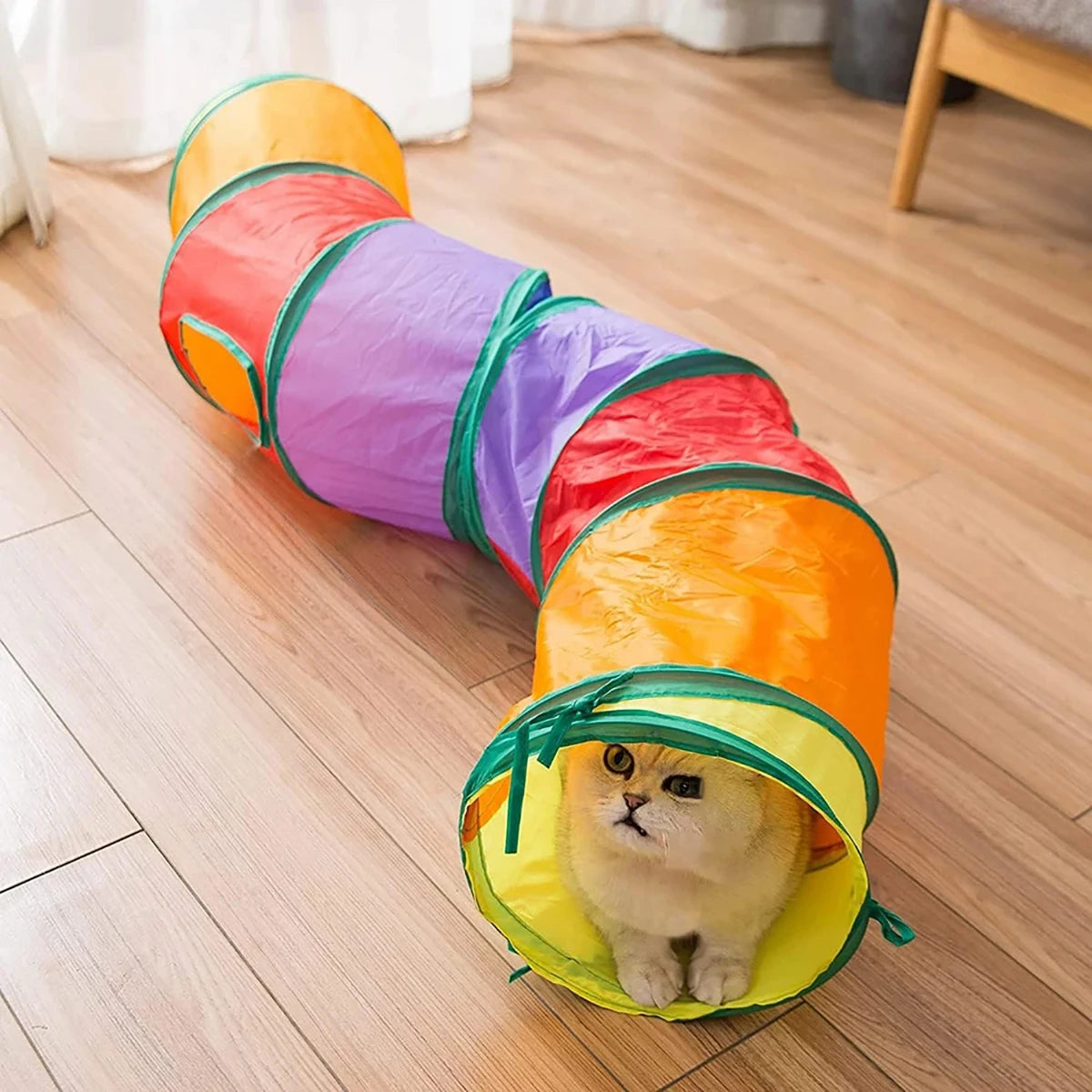 Túnel Plegable para Gatos - Juguete Interactivo Multicolor con Sonido Crujiente, 50cm